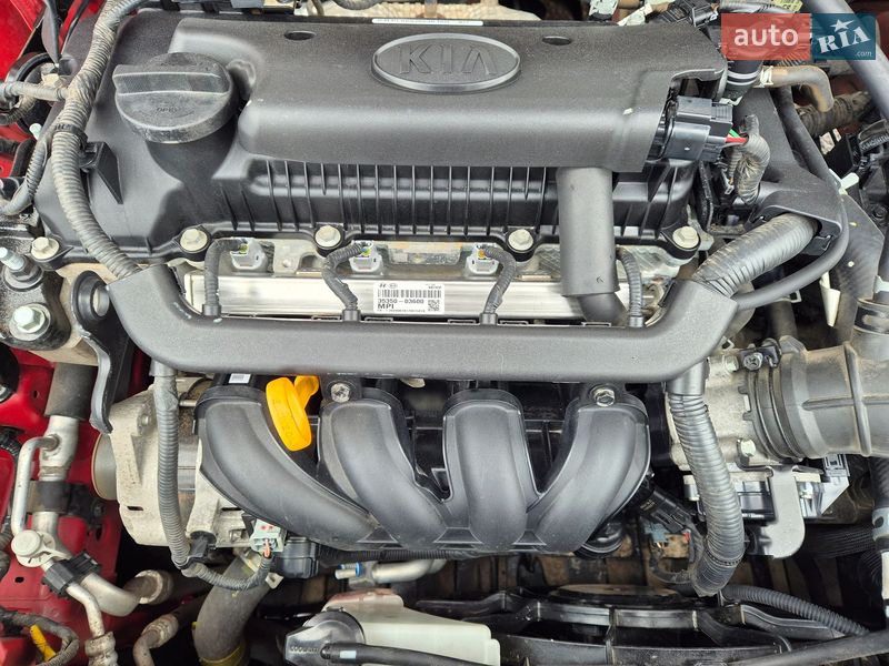 Внедорожник / Кроссовер Kia Stonic 2020 в Запорожье