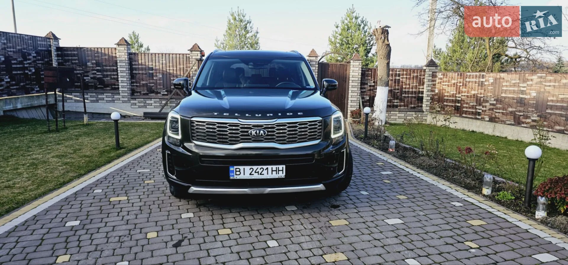 2019 Kia Telluride - мініатюра 6