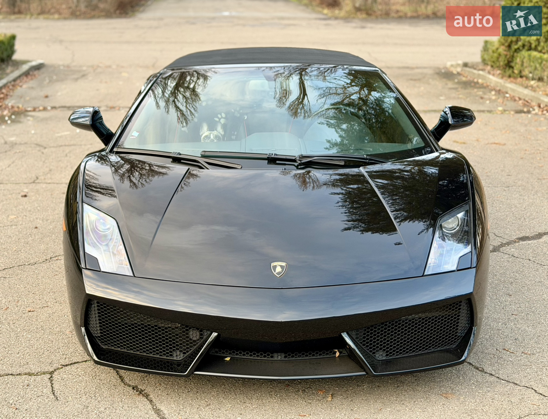 2010 Lamborghini Gallardo - мініатюра 4