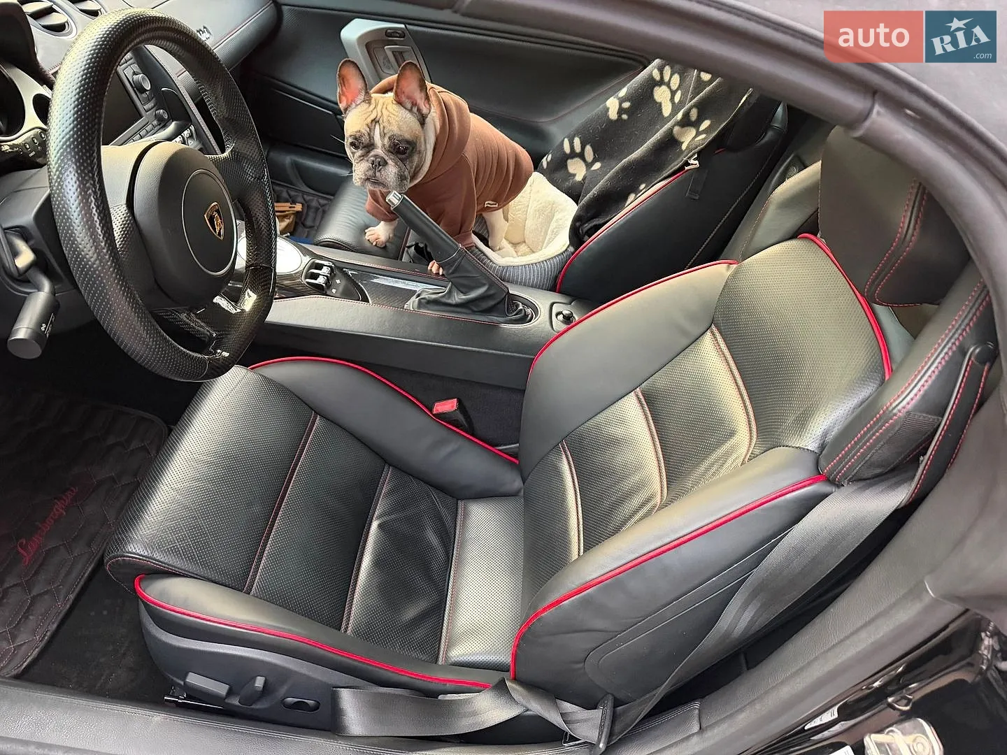 2010 Lamborghini Gallardo - мініатюра 25