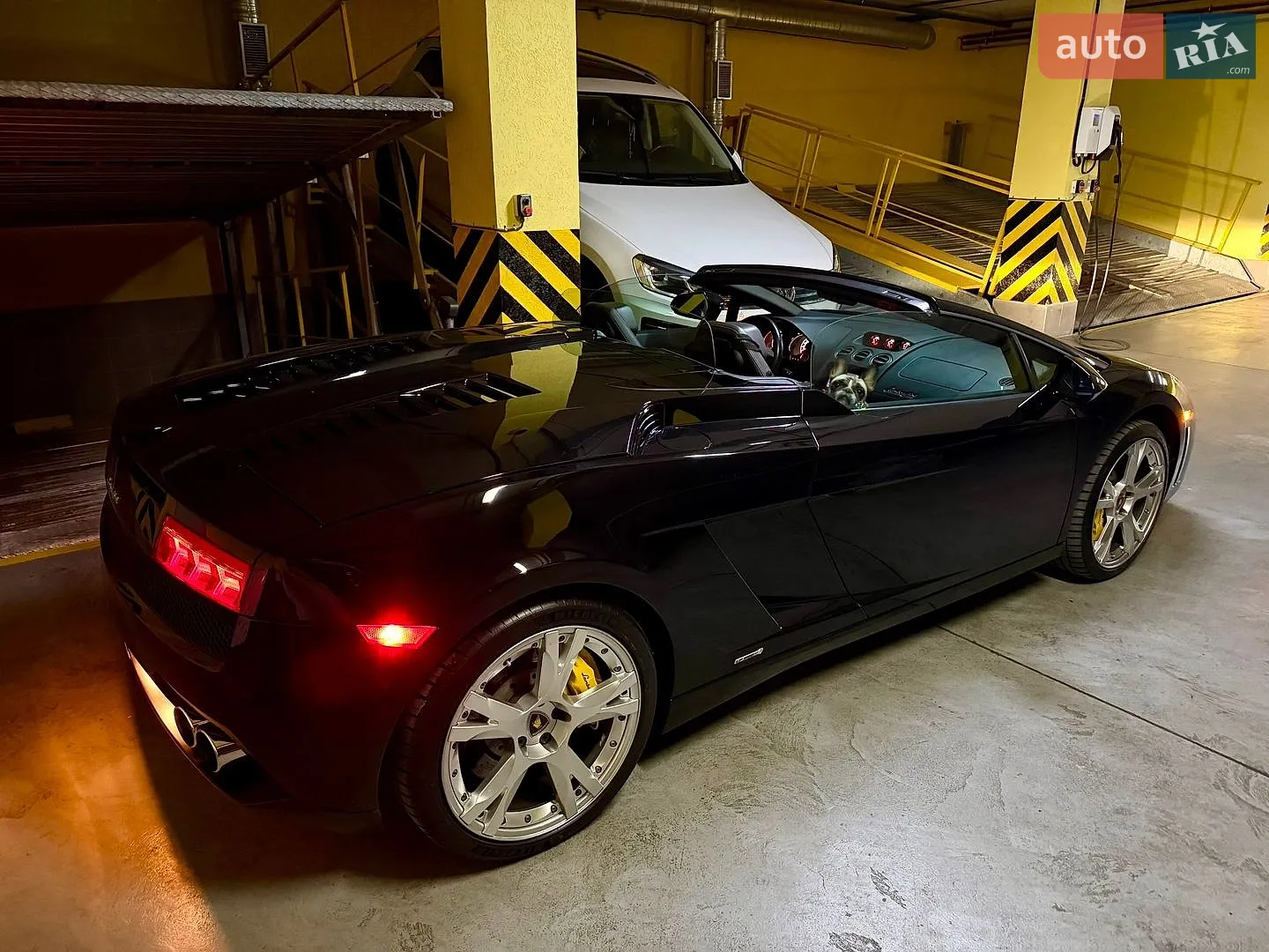 2010 Lamborghini Gallardo - мініатюра 11
