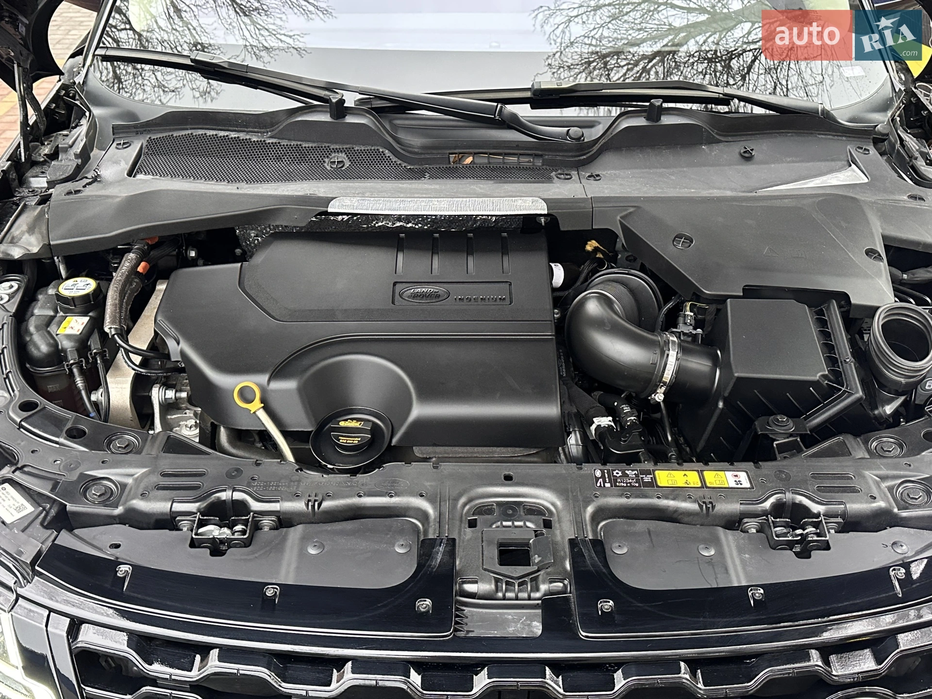 2019 Land Rover Range Rover Evoque - мініатюра 62