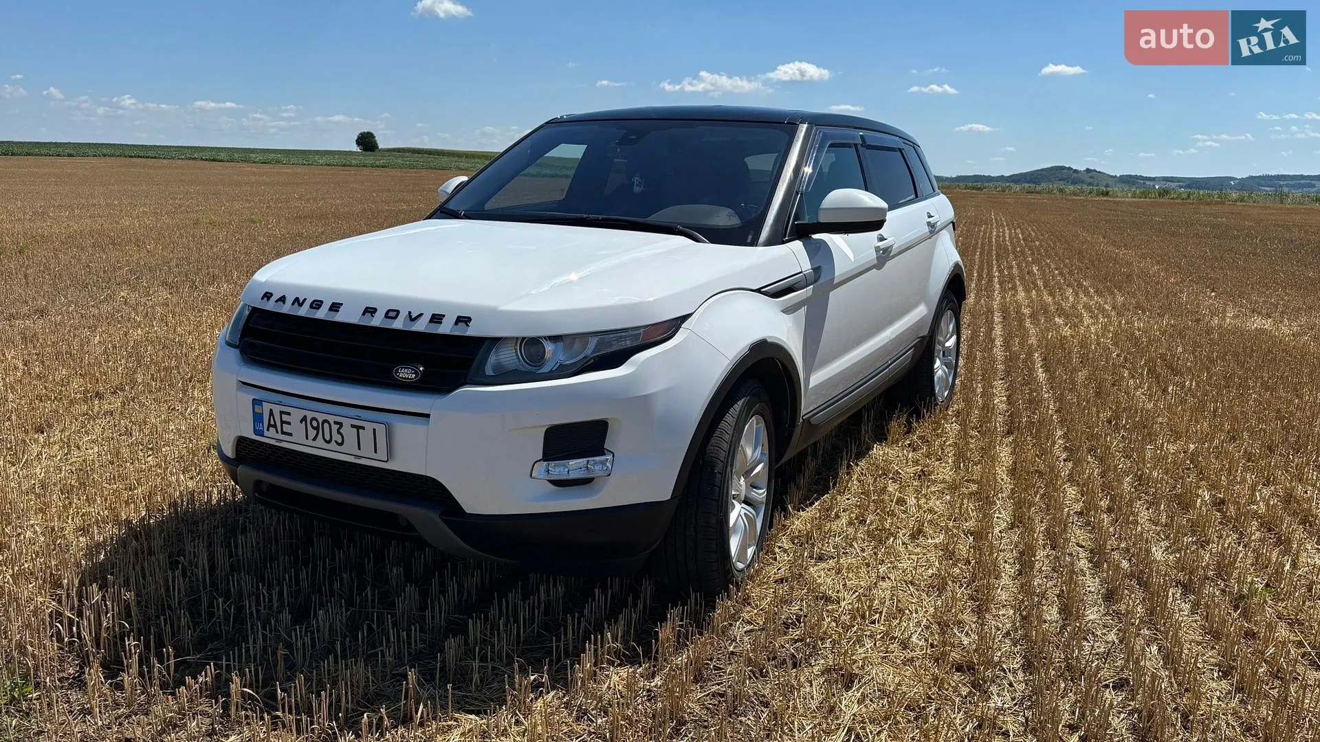 2014 Land Rover Range Rover Evoque - мініатюра 10