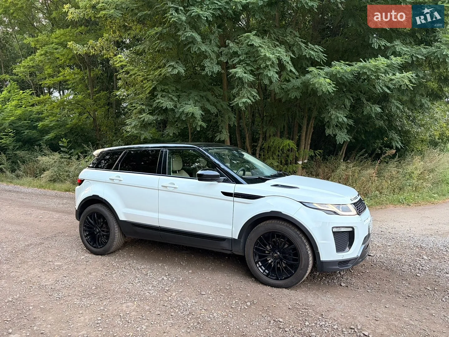 2015 Land Rover Range Rover Evoque - мініатюра 11