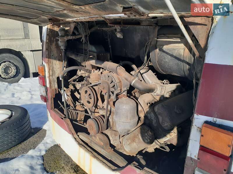 Туристический / Междугородний автобус ЛАЗ 699 1991 в Луцке