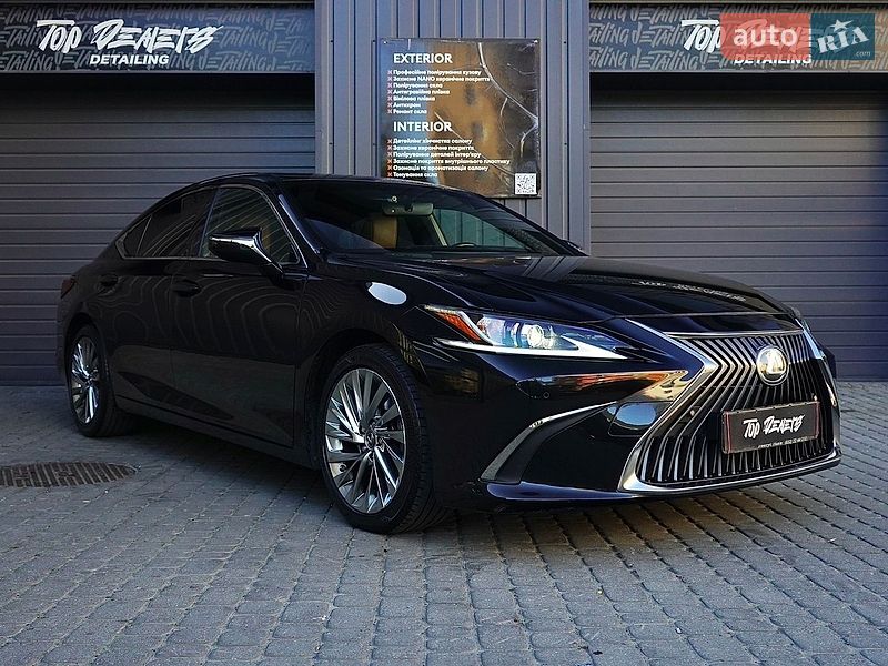 2019 Lexus ES, VIN JTHB11B1102010699:plate — zdjęcie 1 (autoria)
