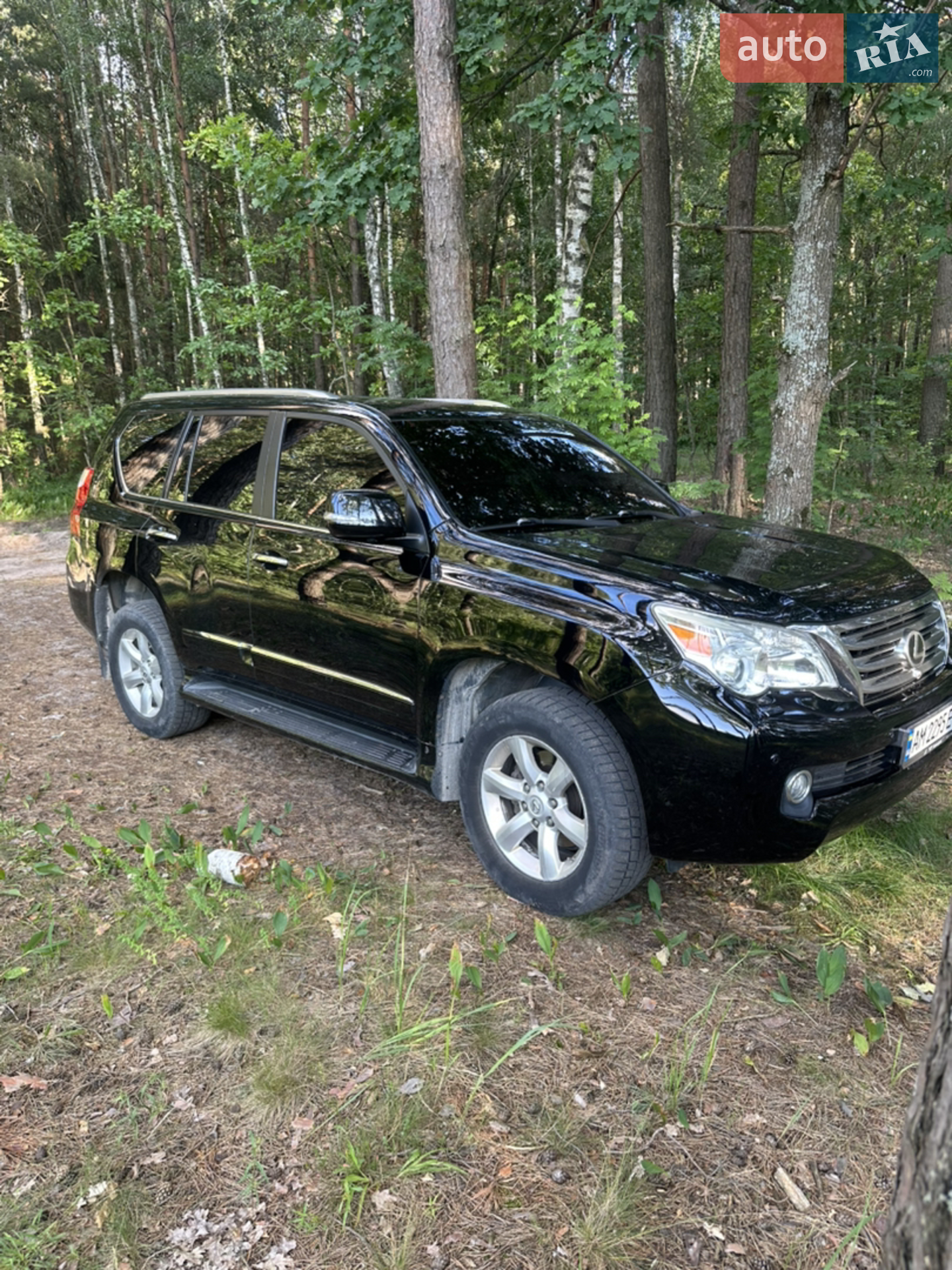 2010 Lexus GX - мініатюра 2