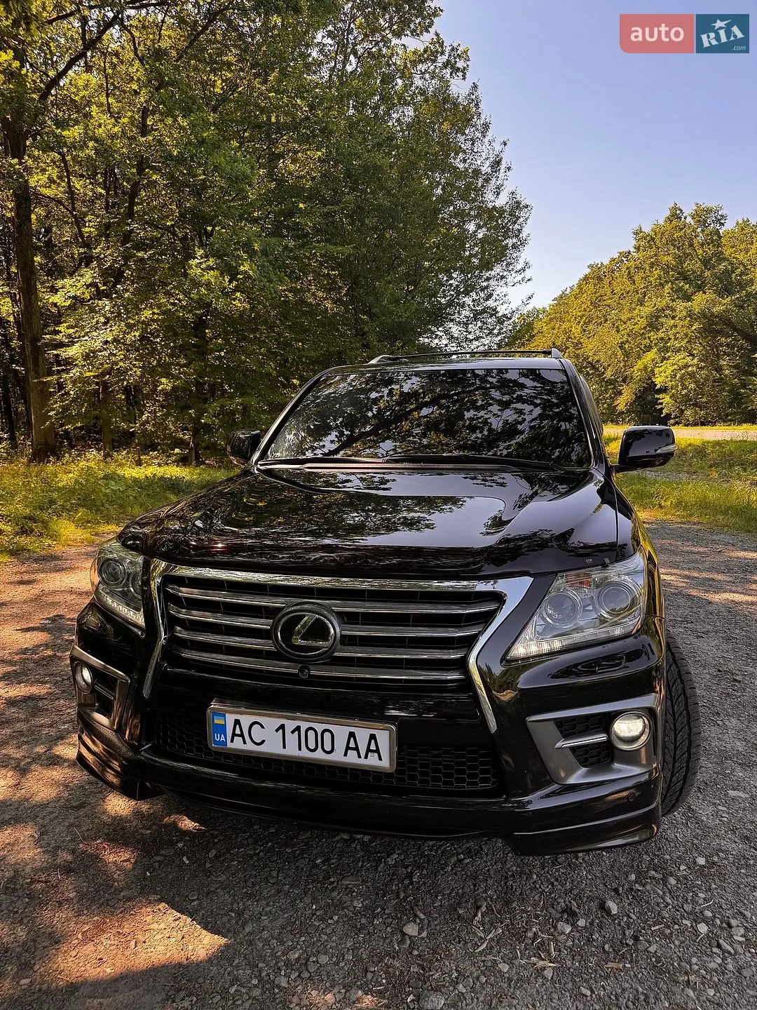 2014 Lexus LX - мініатюра 2