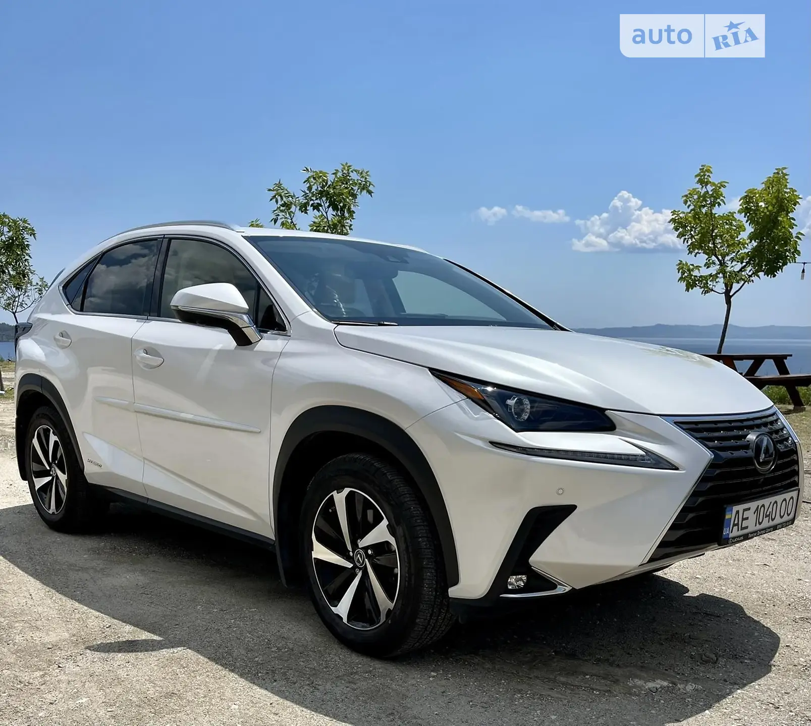 2020 Lexus NX - мініатюра 6