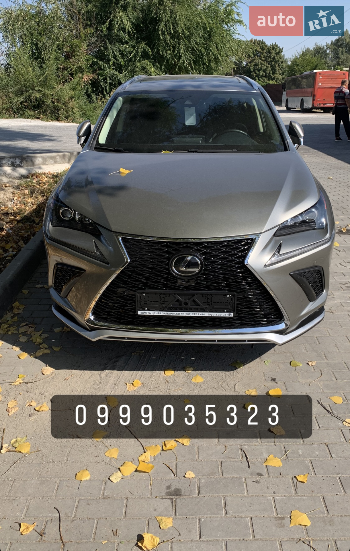 2019 Lexus NX - мініатюра 2