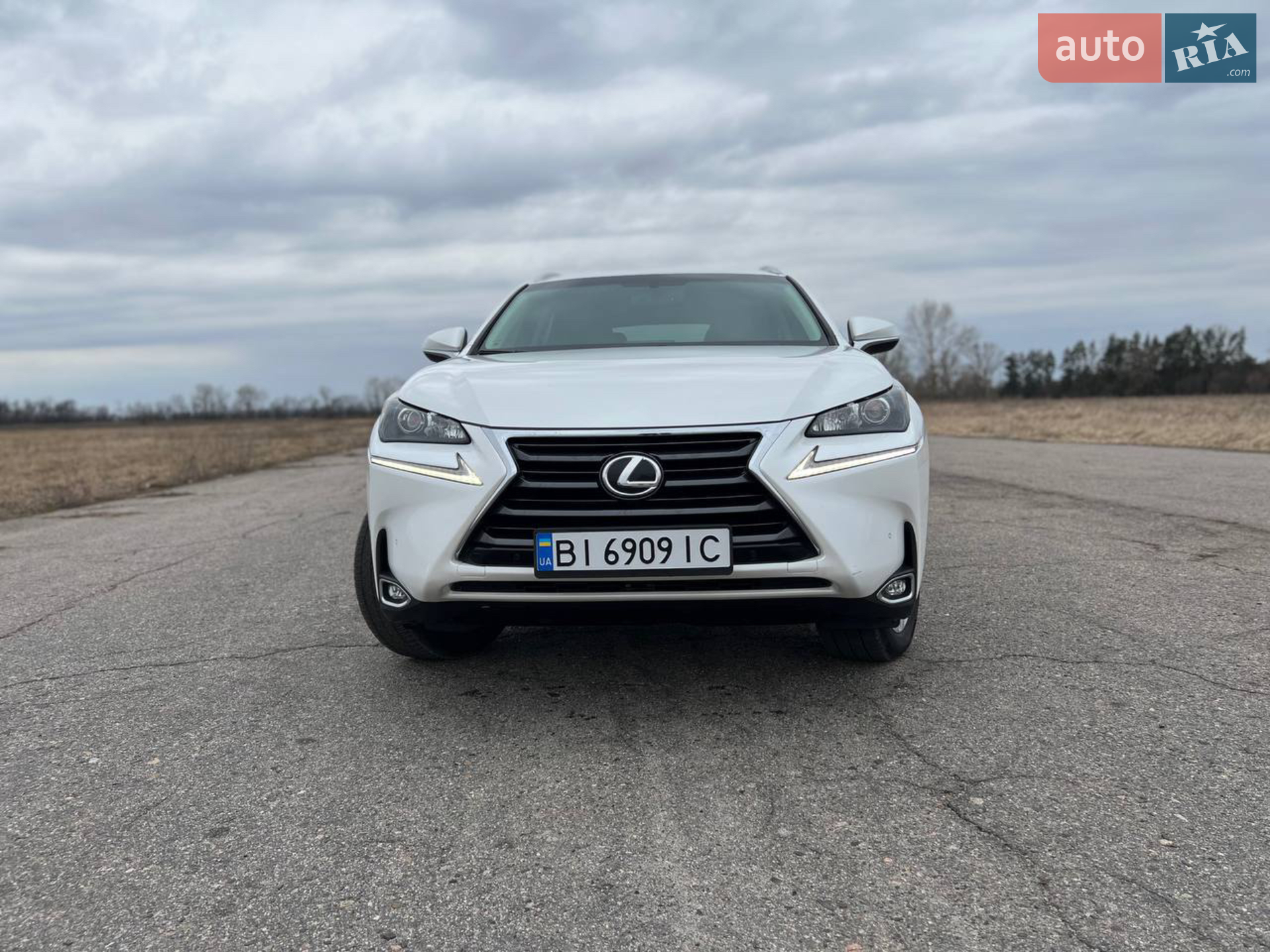 2016 Lexus NX - мініатюра 2