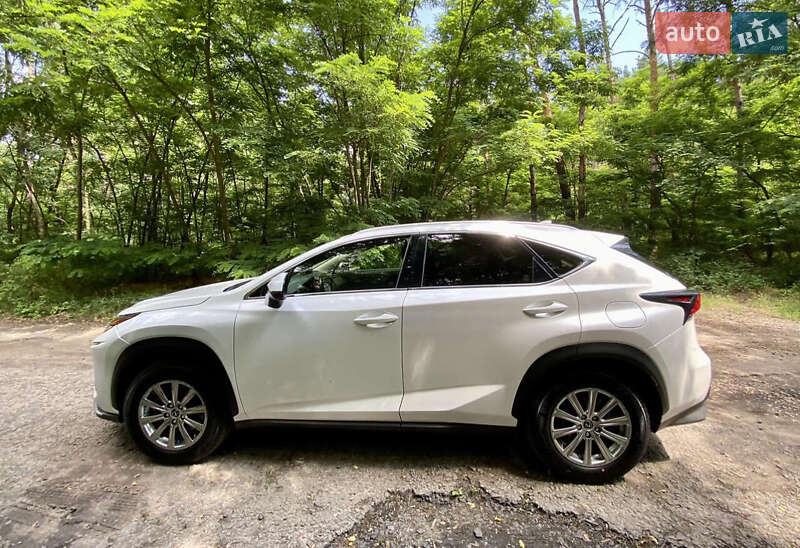Позашляховик / Кросовер Lexus NX 2019 в Олександрії
