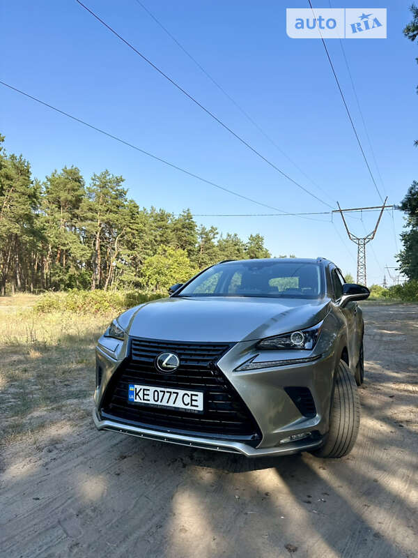 Внедорожник / Кроссовер Lexus NX 2020 в Днепре фото 2 Внедорожник / Кроссовер Lexus NX 2020 в Днепре