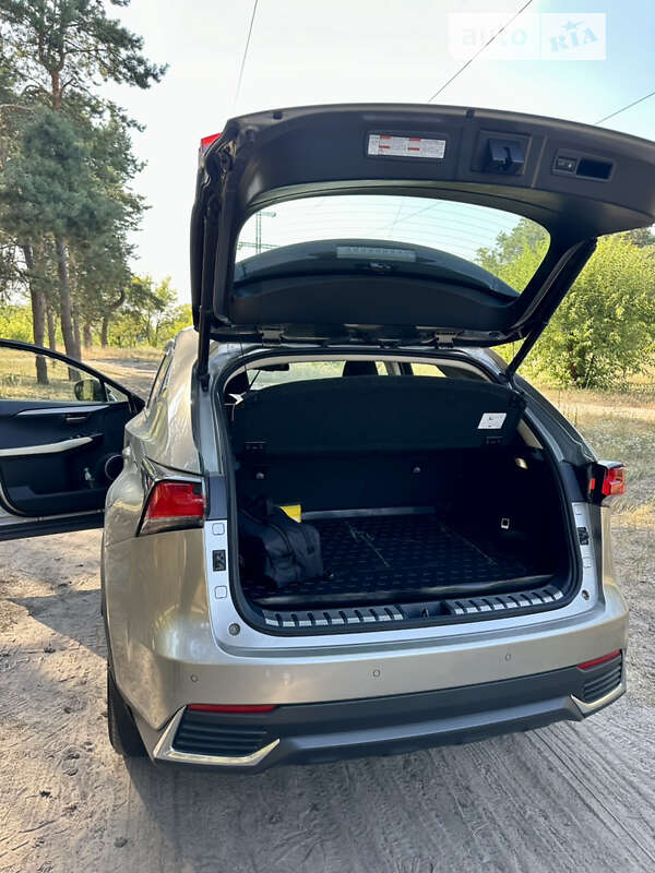 Внедорожник / Кроссовер Lexus NX 2020 в Днепре фото 9 Внедорожник / Кроссовер Lexus NX 2020 в Днепре