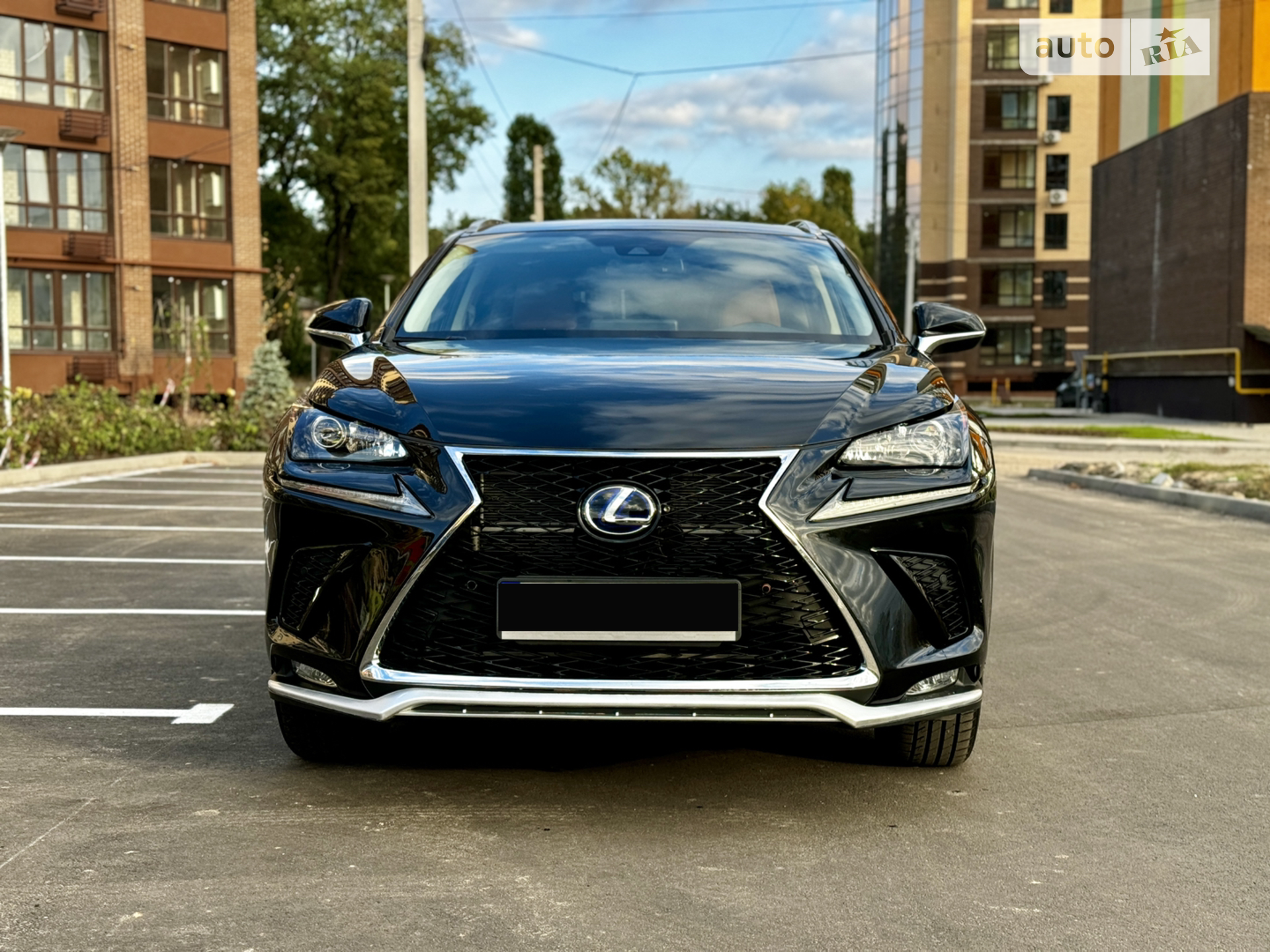 2019 Lexus NX - мініатюра 2