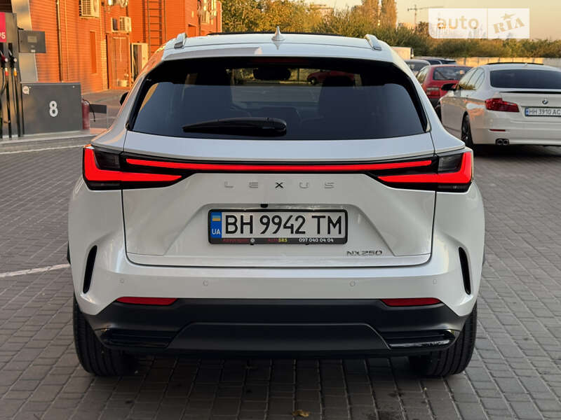Позашляховик / Кросовер Lexus NX 2022 в Одесі