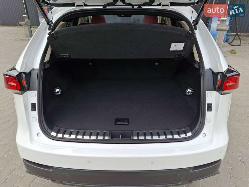 Позашляховик / Кросовер Lexus NX 2021 в Хмельницькому фото 10 Позашляховик / Кросовер Lexus NX 2021 в Хмельницькому