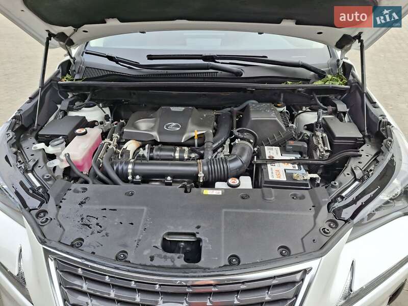 Позашляховик / Кросовер Lexus NX 2021 в Хмельницькому фото 16 Позашляховик / Кросовер Lexus NX 2021 в Хмельницькому