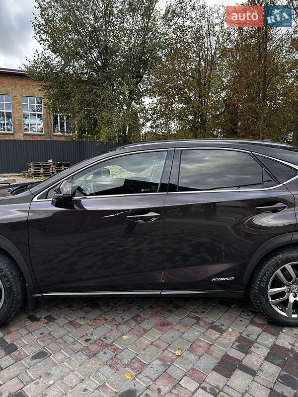 Внедорожник / Кроссовер Lexus NX 2014 в Смеле фото 14 Внедорожник / Кроссовер Lexus NX 2014 в Смеле