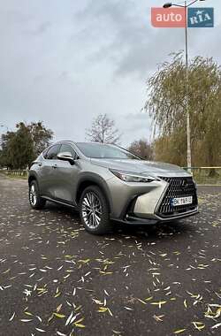Внедорожник / Кроссовер Lexus NX 2022 в 
