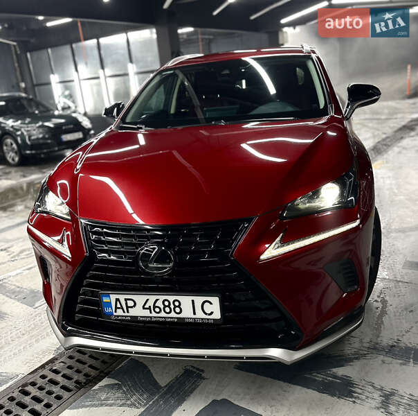Внедорожник / Кроссовер Lexus NX 2020 в 