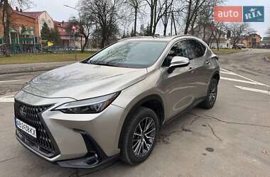 Внедорожник / Кроссовер Lexus NX 2023 в 