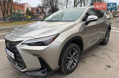 Внедорожник / Кроссовер Lexus NX 2023 в 