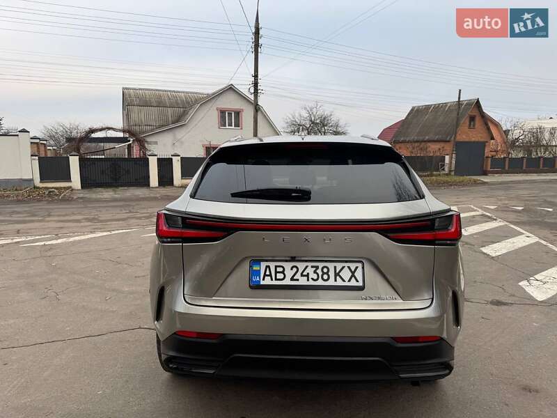 Позашляховик / Кросовер Lexus NX 2023 в Вінниці фото 5 Позашляховик / Кросовер Lexus NX 2023 в Вінниці
