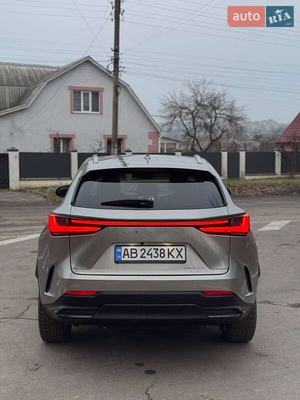 Позашляховик / Кросовер Lexus NX 2023 в Вінниці фото 4 Позашляховик / Кросовер Lexus NX 2023 в Вінниці