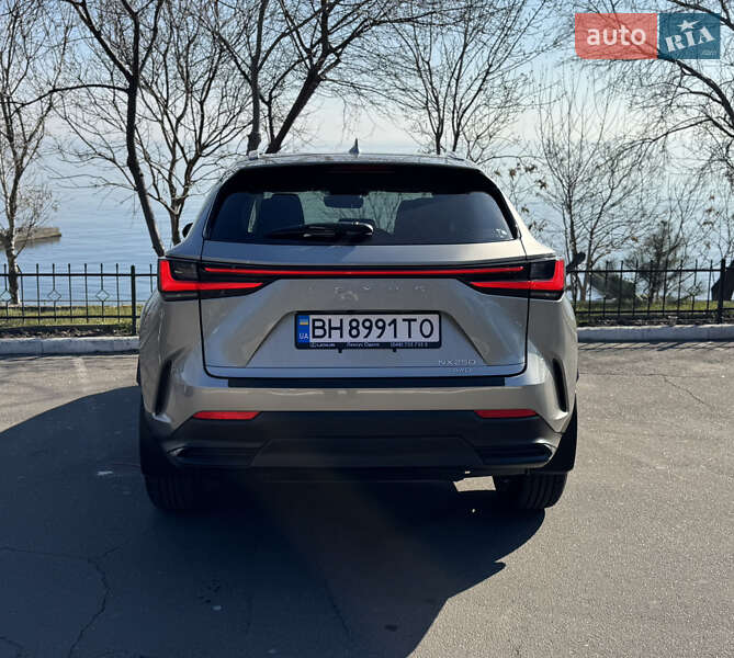 Внедорожник / Кроссовер Lexus NX 2022 в Одессе