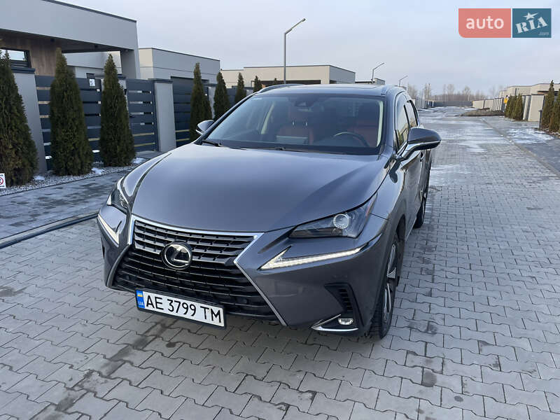 Внедорожник / Кроссовер Lexus NX 2020 в Днепре фото 41 Внедорожник / Кроссовер Lexus NX 2020 в Днепре