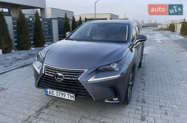 Позашляховик / Кросовер Lexus NX 2020 в 
