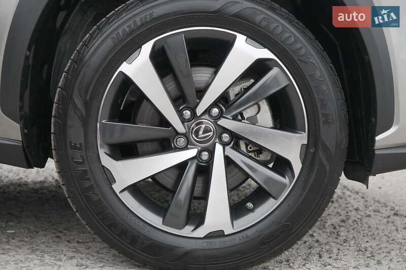 Внедорожник / Кроссовер Lexus NX 2021 в Киеве фото 11 Внедорожник / Кроссовер Lexus NX 2021 в Киеве
