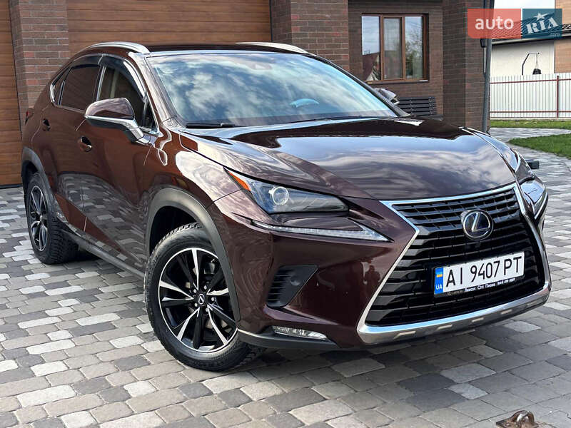 Внедорожник / Кроссовер Lexus NX 2019 в 