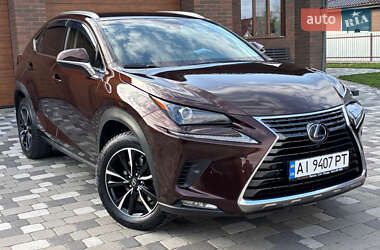 Внедорожник / Кроссовер Lexus NX 2019 в 