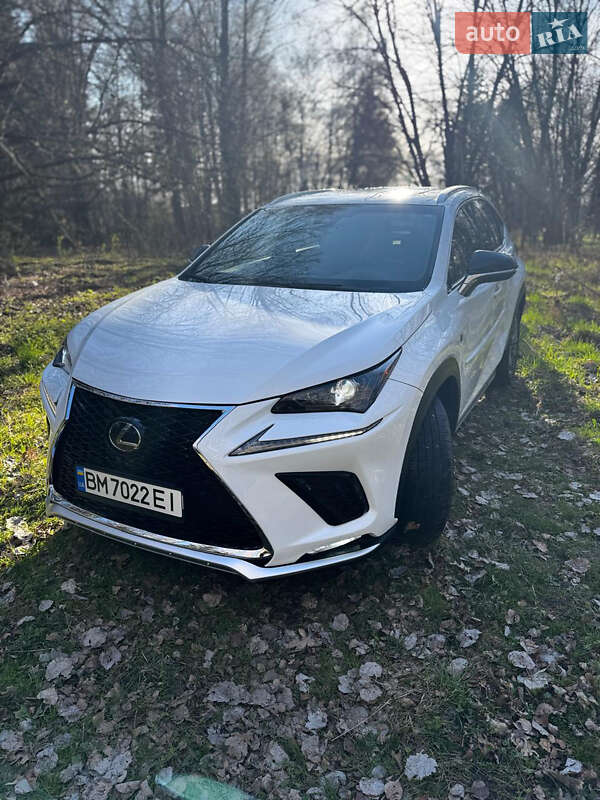 Внедорожник / Кроссовер Lexus NX 2018 в 
