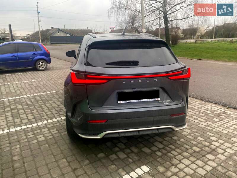 Внедорожник / Кроссовер Lexus NX 2023 в 