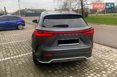 Внедорожник / Кроссовер Lexus NX 2023 в 
