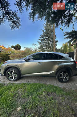 Внедорожник / Кроссовер Lexus NX 2019 в 