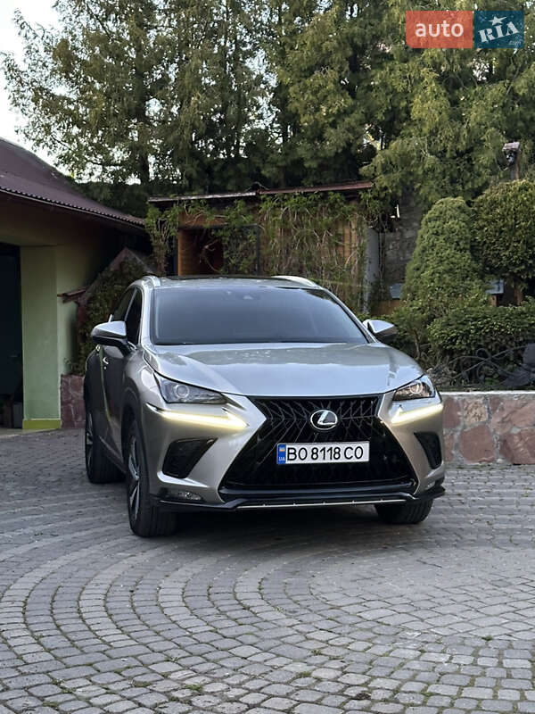 Внедорожник / Кроссовер Lexus NX 2019 в 