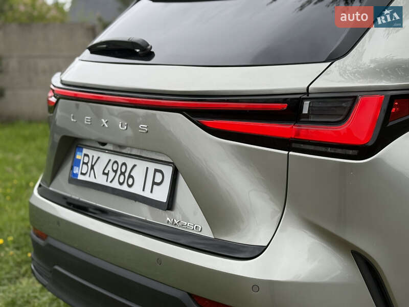 Внедорожник / Кроссовер Lexus NX 2023 в Ровно
