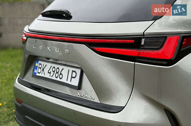 Позашляховик / Кросовер Lexus NX 2023 в 