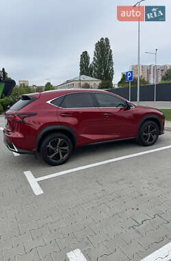 Позашляховик / Кросовер Lexus NX 2020 в 