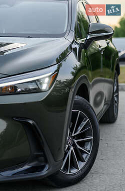 Внедорожник / Кроссовер Lexus NX 2022 в 