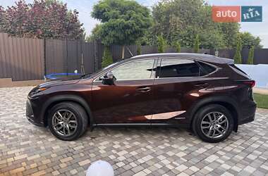 Внедорожник / Кроссовер Lexus NX 2019 в 