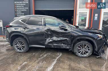 Внедорожник / Кроссовер Lexus NX 2023 в 