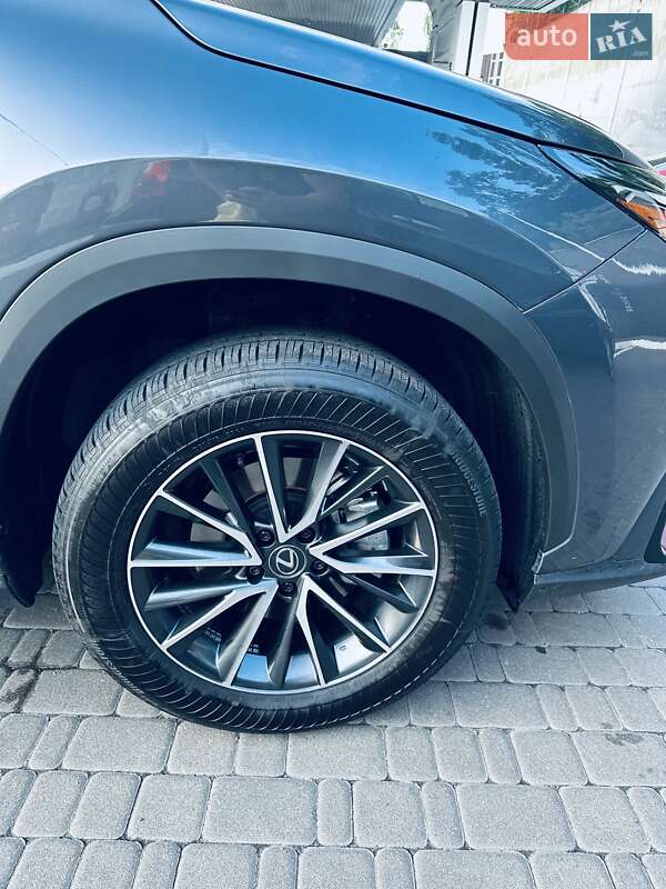 Позашляховик / Кросовер Lexus NX 2024 в Києві