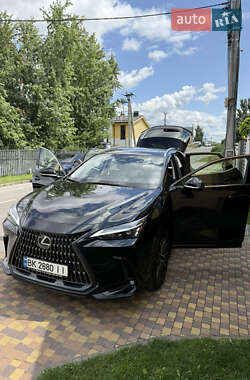 Внедорожник / Кроссовер Lexus NX 2022 в 