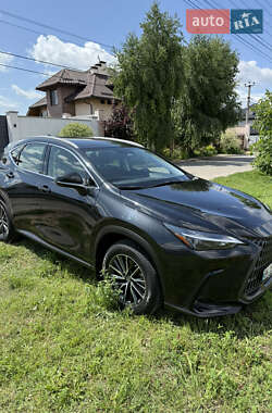 Внедорожник / Кроссовер Lexus NX 2022 в 