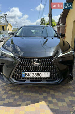 Внедорожник / Кроссовер Lexus NX 2022 в 